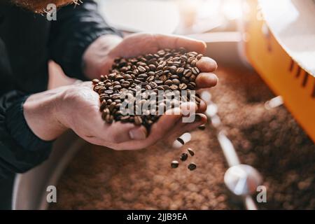 Il proprietario dell'azienda controlla la qualità dei chicchi di caffè tostati in una piccola fabbrica. Primo piano Foto Stock