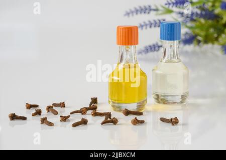 Chiodi di garofano e olio di lavanda. Ciottoli e chiodi di garofano, isolati, oli essenziali in bottiglia, concetto di fondo zen, spa Foto Stock