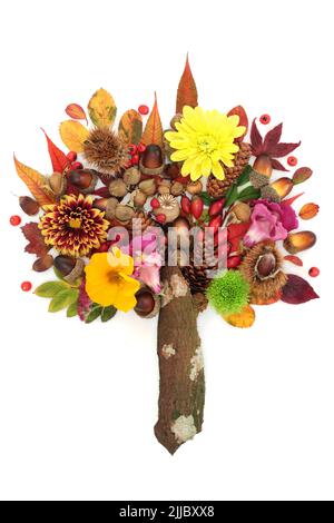 Surreale autunno e giorno del Ringraziamento composizione di fiori e foglie. Astratto design autunnale con colori vivaci rosso, arancione, viola e giallo. Foto Stock