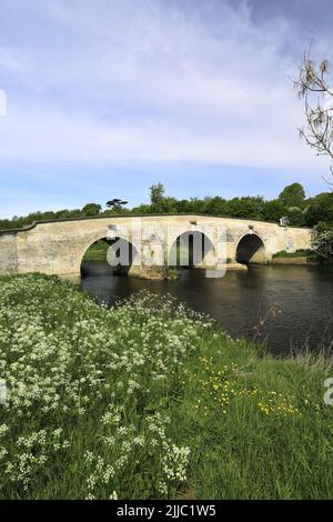 Milton Ferry Stone Bridge, River Nene, Ferry Meadows Country Park, Peterborough, Cambridgeshire, Inghilterra, Regno Unito Foto Stock