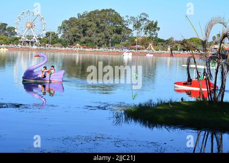 Pagaia o canottaggio sul lago in Lago con ruota panoramica sullo sfondo con bandiere brasiliane, panoramica, fuoco selettivo Foto Stock