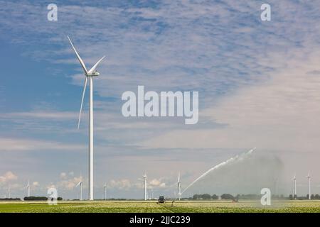 Irrigatore su terreni agricoli di fronte a un parco eolico con turbine eoliche a Flevoland, nei Paesi Bassi Foto Stock