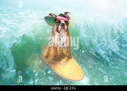 Collage con carino divertente cane bulldog surf su onda enorme in oceano o mare in vacanza estiva su sfondo blu-bianco. Concetto di hobby, animale Foto Stock