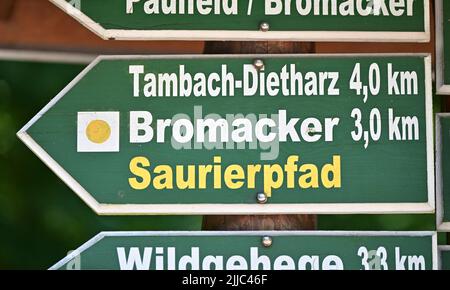 Tambach Dietharz, Germania. 25th luglio 2022. Un cartello indica la via Bromacker e il percorso avventura dei dinosauri a Bromacker tra Tambach-Dietharz e Georgenthal. È qui che inizia il 25 luglio lo scavo estivo degli scienziati nel giacimento fossile di Bromacker, risalente a 290 milioni di anni fa. Gli scavi saranno accompagnati da due profonde perforazioni a Gallberg e Hainsfelsen. Credit: Martin Schutt/dpa/Alamy Live News Foto Stock