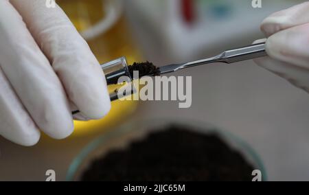 Il ricercatore tiene in mano un pallone di vetro con la terra Foto Stock