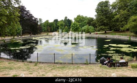 Ipswich, Suffolk, Regno Unito - 25 luglio 2022: Lo stagno rotondo a Christchurch Park in una mattinata estiva calda. Foto Stock