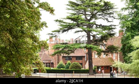 Ipswich, Suffolk, Regno Unito - 25 luglio 2022: Christchurch Park in una calda mattinata estiva. Foto Stock