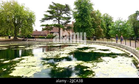 Ipswich, Suffolk, Regno Unito - 25 luglio 2022: Lo stagno rotondo a Christchurch Park in una mattinata estiva calda. Foto Stock