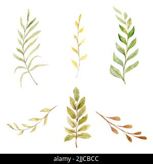 Acquerello set di elementi disegnati a mano con rami autunnali e foglie. Isolato su sfondo bianco. Design per inviti, matrimoni o biglietti d'auguri Foto Stock