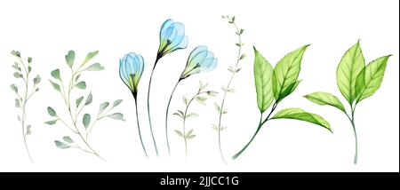 Set floreale acquerello. Raccolta di grandi gocce di neve, fiori trasparenti, rami e foglie. Disegno astratto isolato dipinto a mano. Botanica Foto Stock