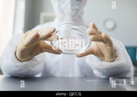 Primo piano di uno scienziato irriconoscibile che indossa l'equipaggiamento protettivo completo durante l'esecuzione di esami del sangue in piastra Petri presso il laboratorio medico, spazio copia Foto Stock