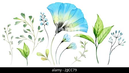 Set floreale acquerello. Collezione di anemone blu grande, fiori trasparenti, bacche e foglie. Disegno astratto isolato dipinto a mano. Botanica Foto Stock