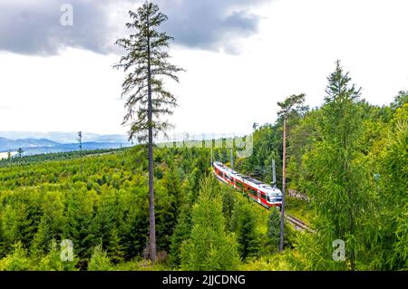 High Tatra, Slovacchia - Luglio 2018: Il treno Tatra Electric Railways (TEZ-ter) (noto anche come 'Tatra Tram') attraversa la foresta nei pressi di Tatranska Poliank Foto Stock