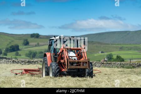 Spandendo l'erba per fare il fieno in un tradizionale prato di fieno di Dales, Hawes, North Yorkshire, Regno Unito. Foto Stock