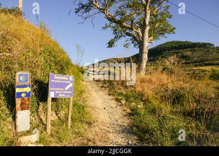 Segnata accanto ad un sentiero appartenente alla Via San Giacomo ai piedi del Passo dell'Ibaneta Foto Stock