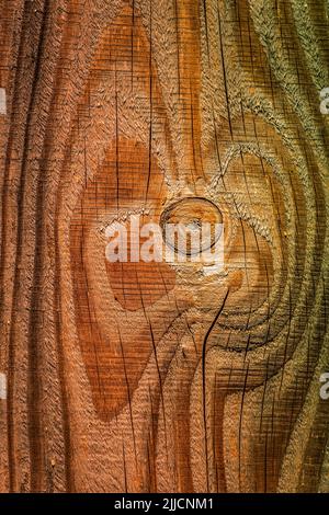 Vista ravvicinata della superficie in legno testurizzato con motivi naturali e dettagli granulosità Foto Stock