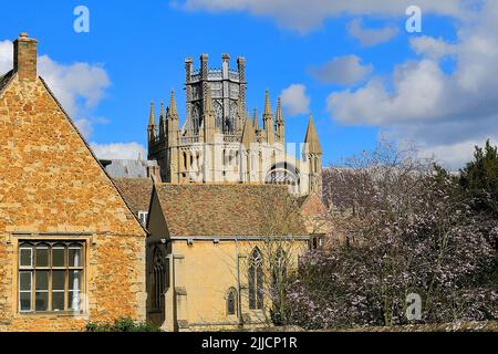 Vista primaverile sulla Cattedrale di Ely; Città di Ely; Cambridgeshire; Inghilterra; Regno Unito Foto Stock