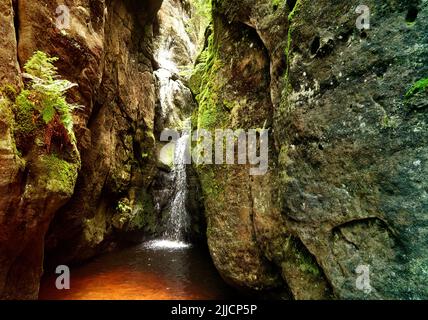 Piccola cascata tra le rocce con una felce in primo piano Foto Stock