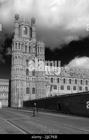 Vista primaverile sulla Cattedrale di Ely; Città di Ely; Cambridgeshire; Inghilterra; Regno Unito Foto Stock