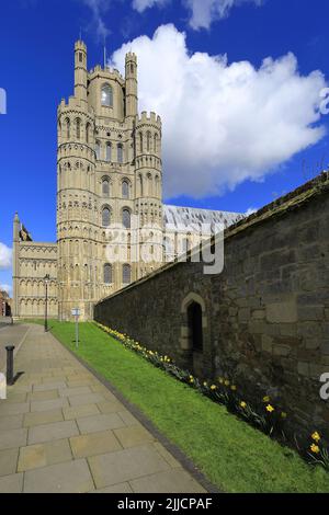 Vista primaverile sulla Cattedrale di Ely; Città di Ely; Cambridgeshire; Inghilterra; Regno Unito Foto Stock