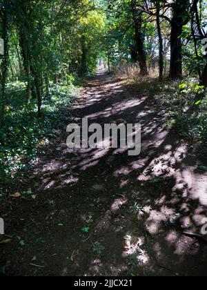 Questo delizioso sentiero conduce dal Lower Radley Village al Tamigi mentre si percorre la campagna dell'Oxfordshire. Foto Stock