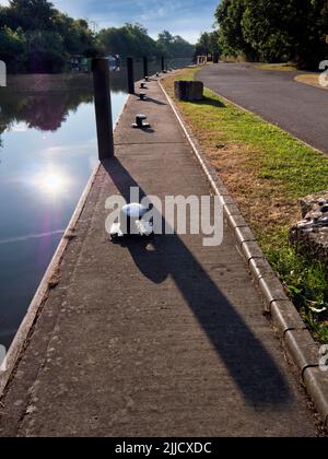 Primo piano del posto di ormeggio presso le porte di Abingdon in una bella mattinata primaverile; queste lucchetti scenici si trovano sul Tamigi subito a monte della famou di Abingdon Foto Stock