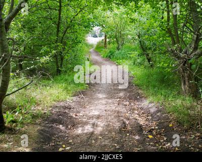 Questo delizioso sentiero conduce dal Lower Radley Village al Tamigi mentre si percorre la campagna dell'Oxfordshire. Foto Stock