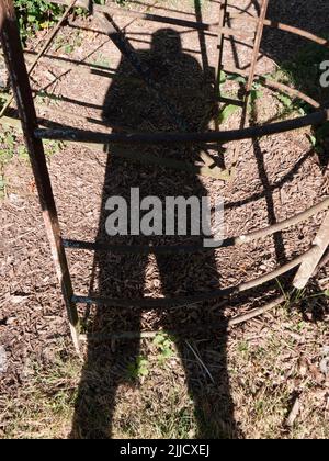 Solo io e la mia ombra. Dico sempre che non dovete andare a metà del mondo per ottenere le riprese interessanti. Così qui è un esempio, la mia ombra, Wending io Foto Stock