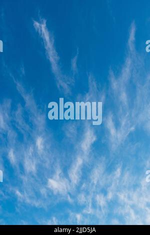 Eccezionale esposizione di Cirrus Cloud in una serata all'inizio di luglio nel Regno Unito Foto Stock