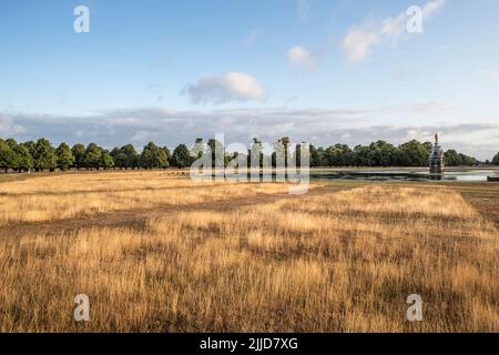 Lungo erba secca alla fontana Diana nel Bushy Park Surrey UK Foto Stock