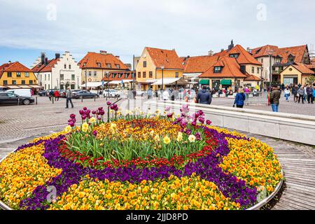 Esposizioni floreali nella Grande Piazza (Stora Torget) nella città medievale di Visby sull'isola di Gotland nel Mar Baltico al largo della Svezia Foto Stock