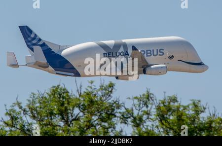 Questo è il Mighty Airbus Beluga, che fa x2 passi sopra il tatuaggio int Air a Fairford. Foto Stock