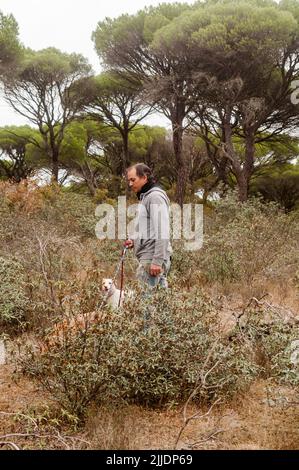 Un uomo con i suoi cani cammina tra rockrose e cespugli in una pineta in un giorno d'autunno nebbia. Foto Stock