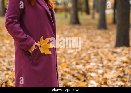 Caduta della foglia tenendo in mano femmina. Colpo di donna senza volto in cappotto viola che tiene foglia di acero giallo Foto Stock