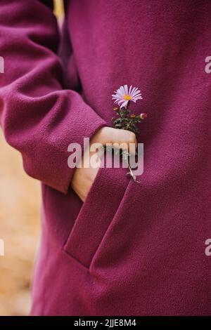 Caduta della foglia tenendo in mano femmina. Colpo di donna senza volto in cappotto viola che tiene foglia di acero giallo Foto Stock