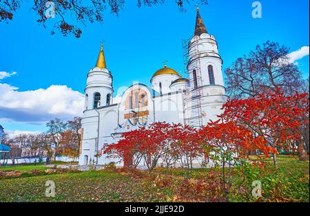 Colori rosso, giallo e verde del parco autunnale di fronte alla Cattedrale di Trasfigurazione, l'antica Riserva di Chernihiv, Chernihiv, Ucraina Foto Stock