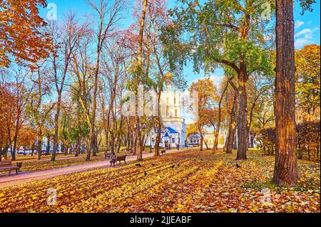 Il panoramico autunno Chernihiv Citadel Park con alberi alti, fogliame giallo secco sul terreno, panchine di legno e Chernihiv Collegium sullo sfondo, Cher Foto Stock