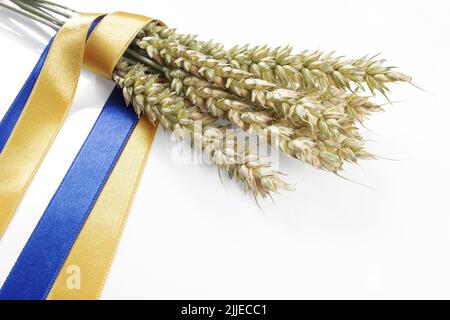 Fascio di spikelet di grano maturo legato con un nastro blu e giallo isolato su bianco. Concetto di crisi dell'approvvigionamento alimentare e scarsità alimentare globale. Foto Stock