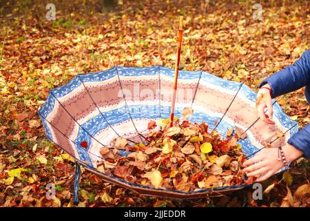 Ombrello marrone defocus adagiato su foglie gialle in autunno. Bellissimo paesaggio autunnale sfondo. Tappeto di foglie d'autunno arancione caduto nel parco e b Foto Stock