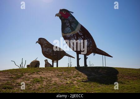 Regent, ND, USA - 19 giugno 2022: Fagiani sulla Prairie è 1 di 8 sculture di rottami di metallo costruite lungo la 32-Mile Enchanted Highway. La raccolta Foto Stock