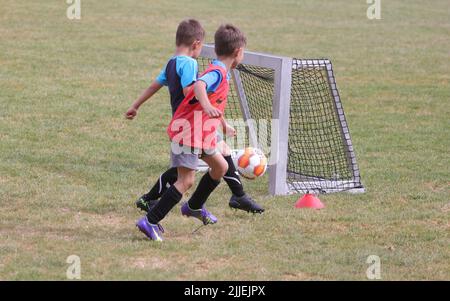 Dulmen, Germania. 21st giugno, 2022. Primo: 06/22/2022, calcio, stagione 2021/2022, calcio amatoriale mini kicker, U6 giocare in una squadra di tre contro l'altro, forma di formazione Credit: dpa/Alamy Live News Foto Stock