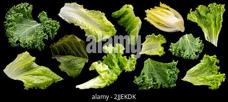 Raccolta di foglie di insalata isolate su sfondo nero Foto Stock