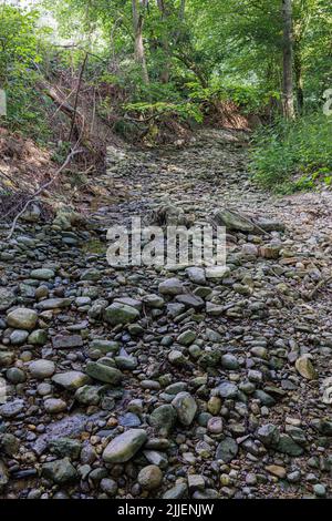 Cambiamento climatico, sbandierato di un piccolo torrente primaverile già seccato in maggio, Germania, Baviera, Isental Foto Stock