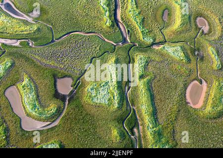 Het Zwin, intaccato vecchio fiume foce nel Mare del Nord, vista aerea, Belgio, Fiandre, Knokke-Heist Foto Stock