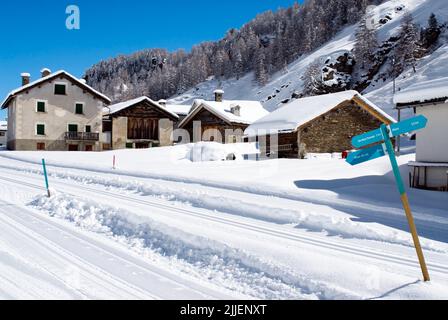 Pista da sci di fondo al Villaggio Isola sul Lago di Sils, chiamato anche Goat Village in inverno, Svizzera, Grigioni, Oberengadin Foto Stock