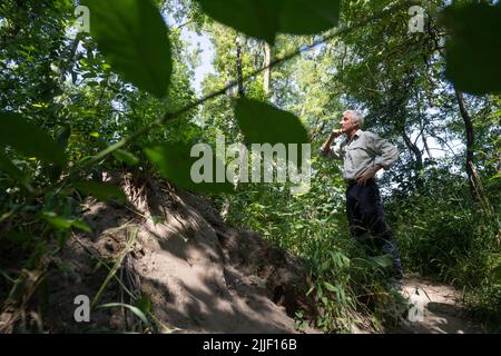 Stockstadt, Germania. 19th luglio 2022. Il Forester Ralph Baumgärtel, capo del Centro per l'ambiente e l'educazione, sorge nella foresta della riserva naturale di Kühkopf-Knoblochsaue sull'isola del Reno di Kühkopf. Nel corso della raddrizzatura del Reno (1828/1829), l'area era completamente separata dalla terraferma sulla riva sinistra del Reno da un passaggio che trasformava la penisola in un'isola fluviale. (To dpa - SUMMER SERIES 'RIPEN FOR THE ISLAND IN HESSIA' - Escursionismo sull'isola di Aue - la più grande riserva naturale dell'Assia) Credit: Frank Rumpenhorst/dpa/Alamy Live News Foto Stock