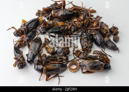 Snack tailandese delicato, bug fritti in una padella con aglio, zenzero e salsa di pesce Foto Stock
