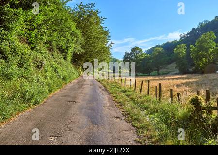 Paesaggio naturale vista della campagna verde con un cielo blu sfondo. Strada isolata in un ambiente naturale con erba crescente, piante, e grandi alberi Foto Stock