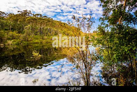 Lago McKenzie nel Booderee National Park Botanic Gardens, Jervis Bay Foto Stock