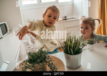 Bambina che osserva il suo fratello innaffiare la pianta in vaso Foto Stock